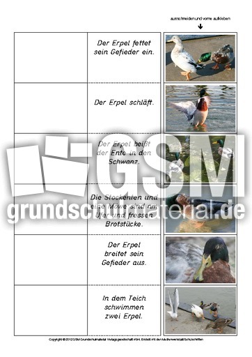 Flip-Flap-Zuordnung-Stockente-lesen 6.pdf